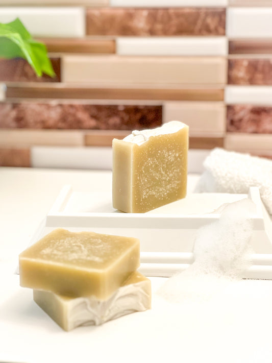 Aloe Eucalyptus Pine Soap Bar